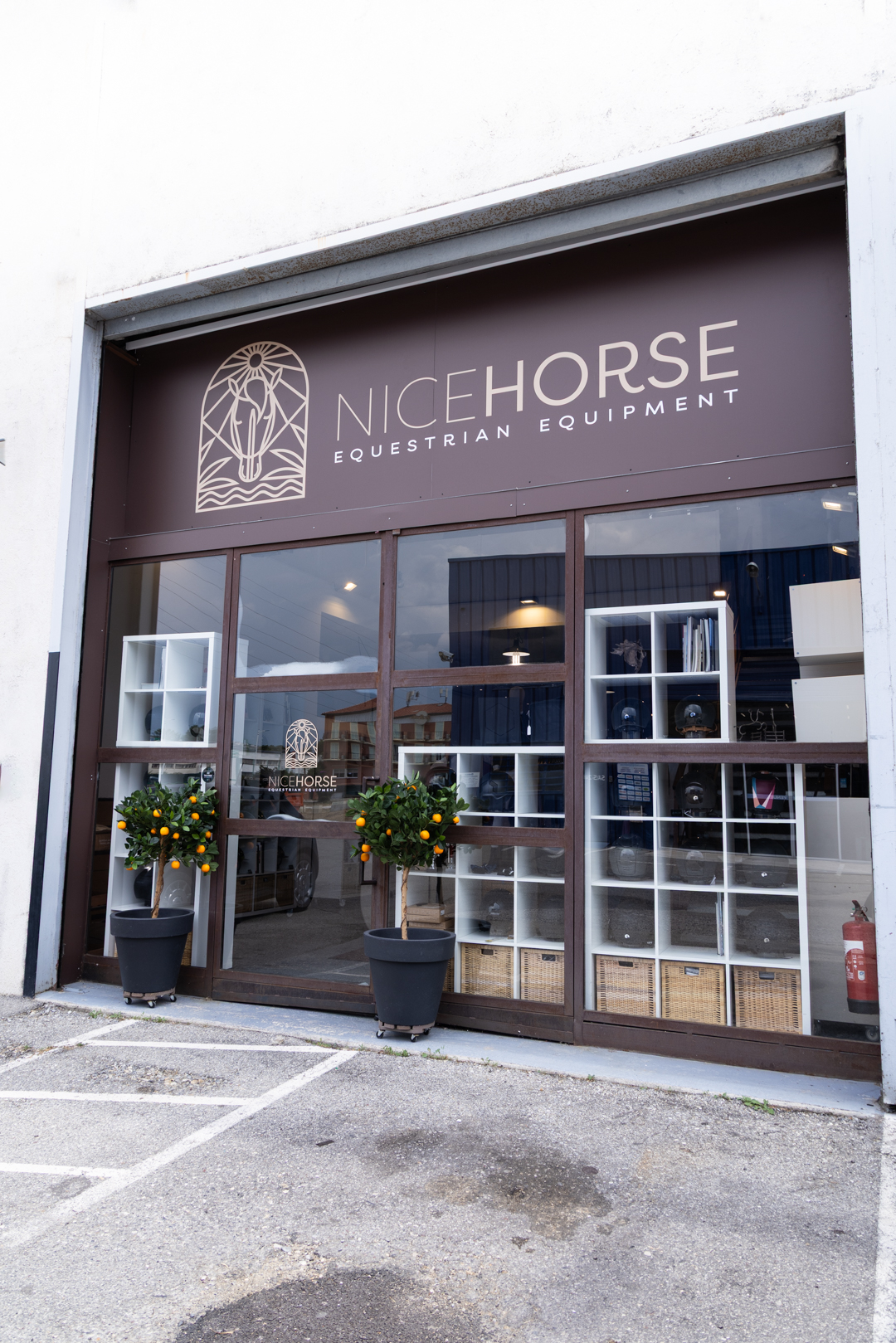 PHOTOS NICE HORSE SELLERIE WEB-6652